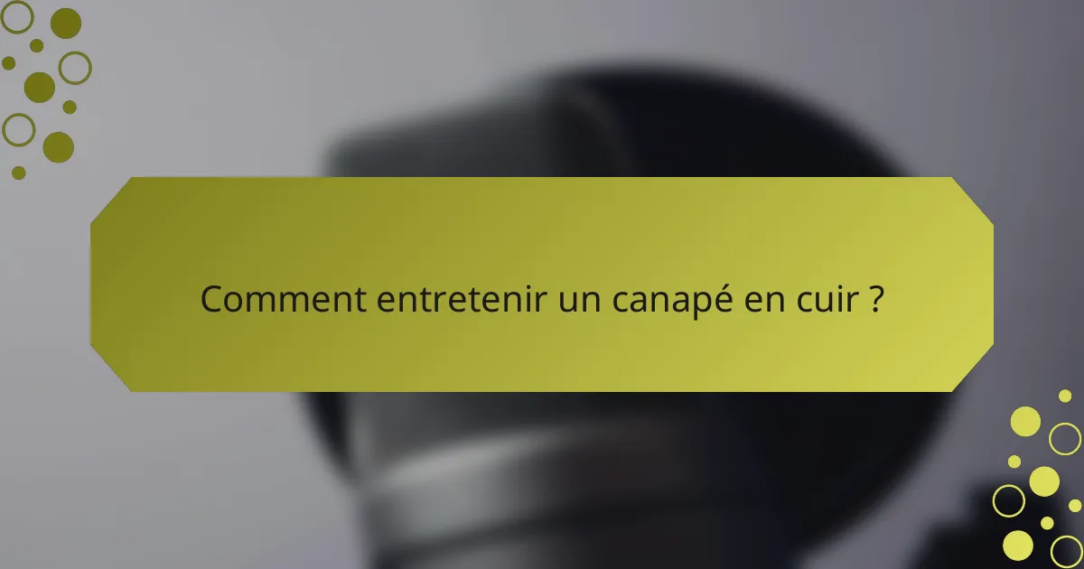 Comment entretenir un canapé en cuir ?