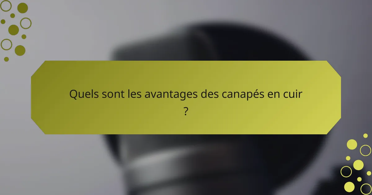 Quels sont les avantages des canapés en cuir ?