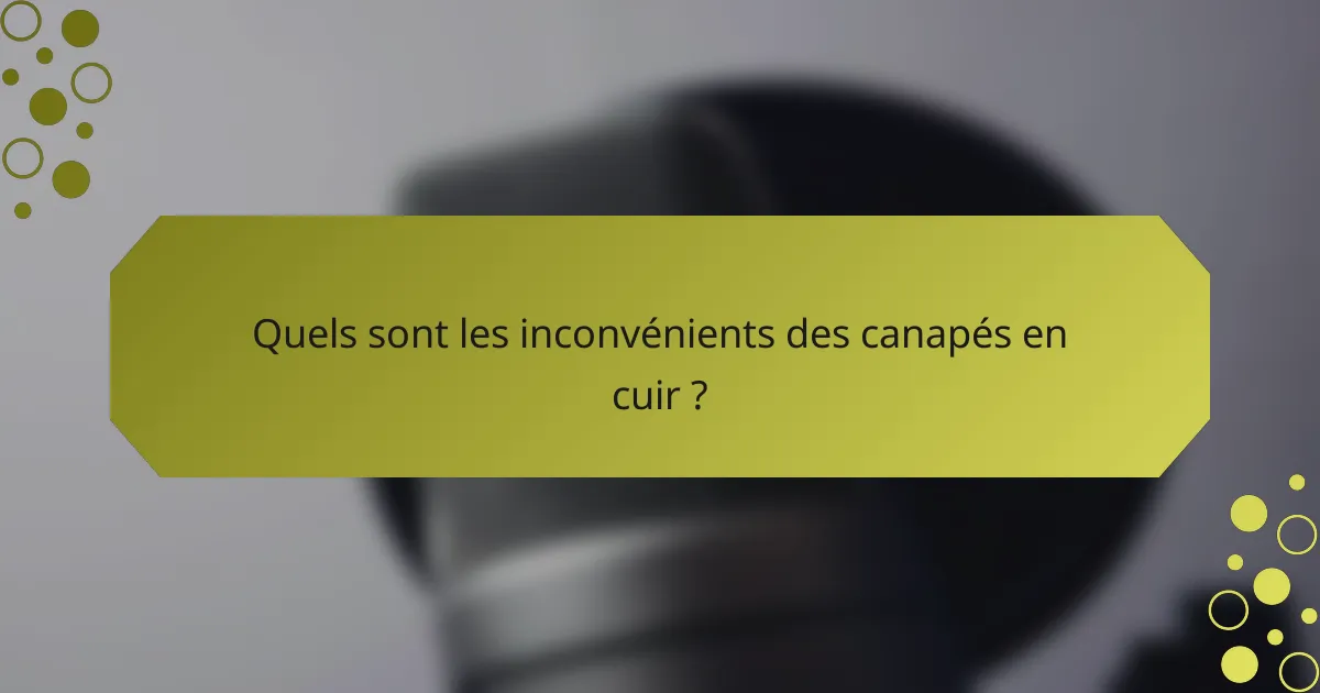 Quels sont les inconvénients des canapés en cuir ?